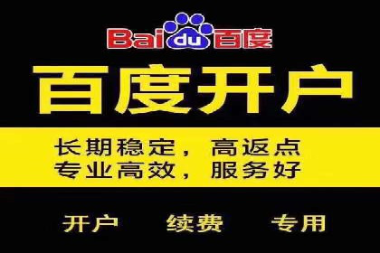 媒体平台的信息流广告代理服务案例探讨